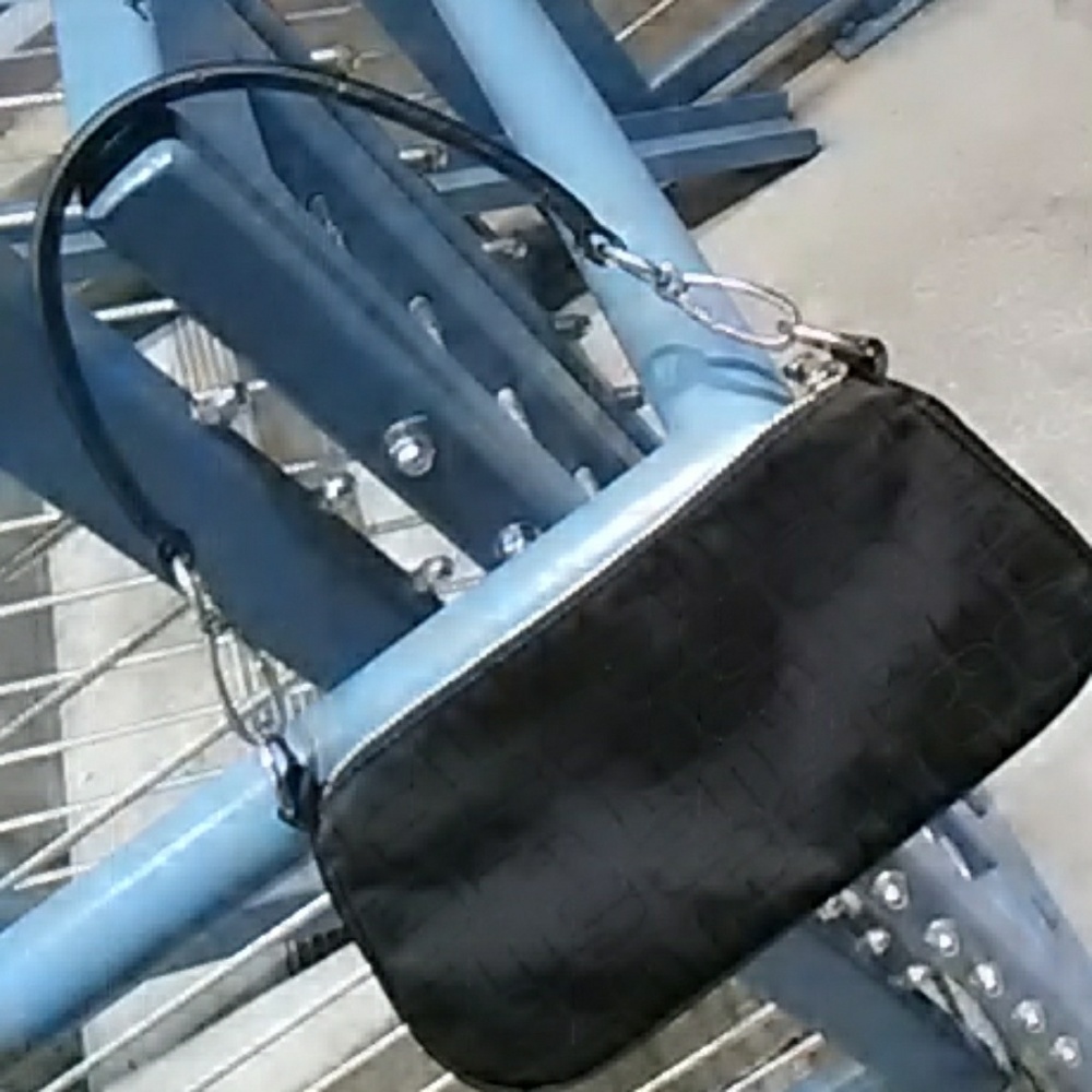 Express Purse